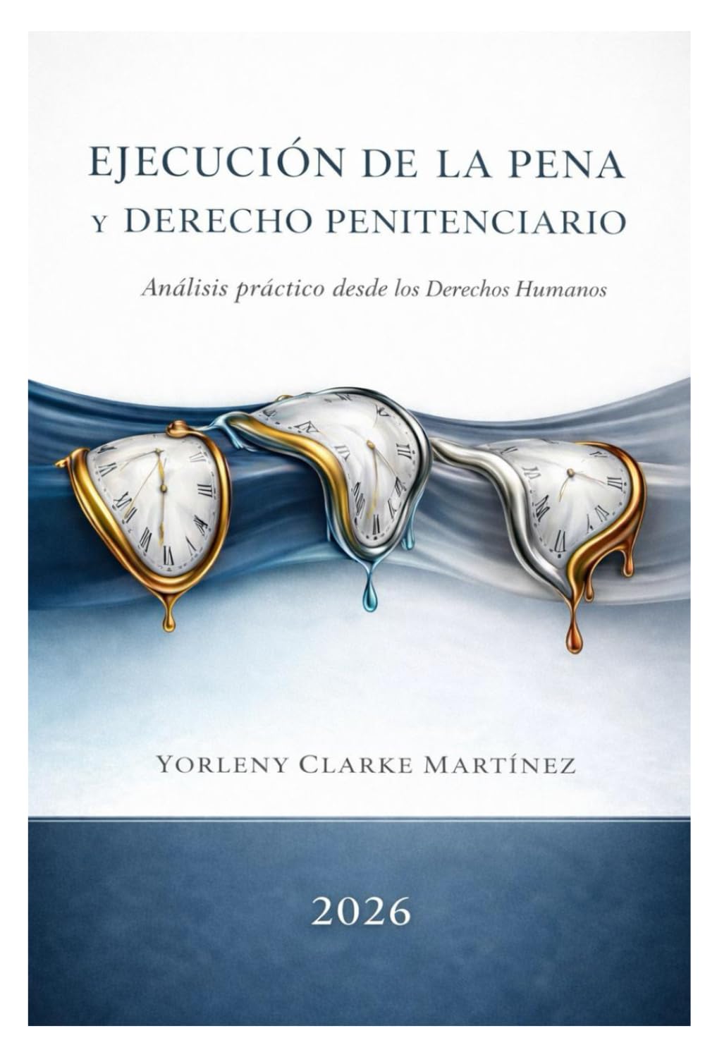 Ejecución de la pena y Derecho Penitenciario: Analisis práctico desde los Derechos Humanos