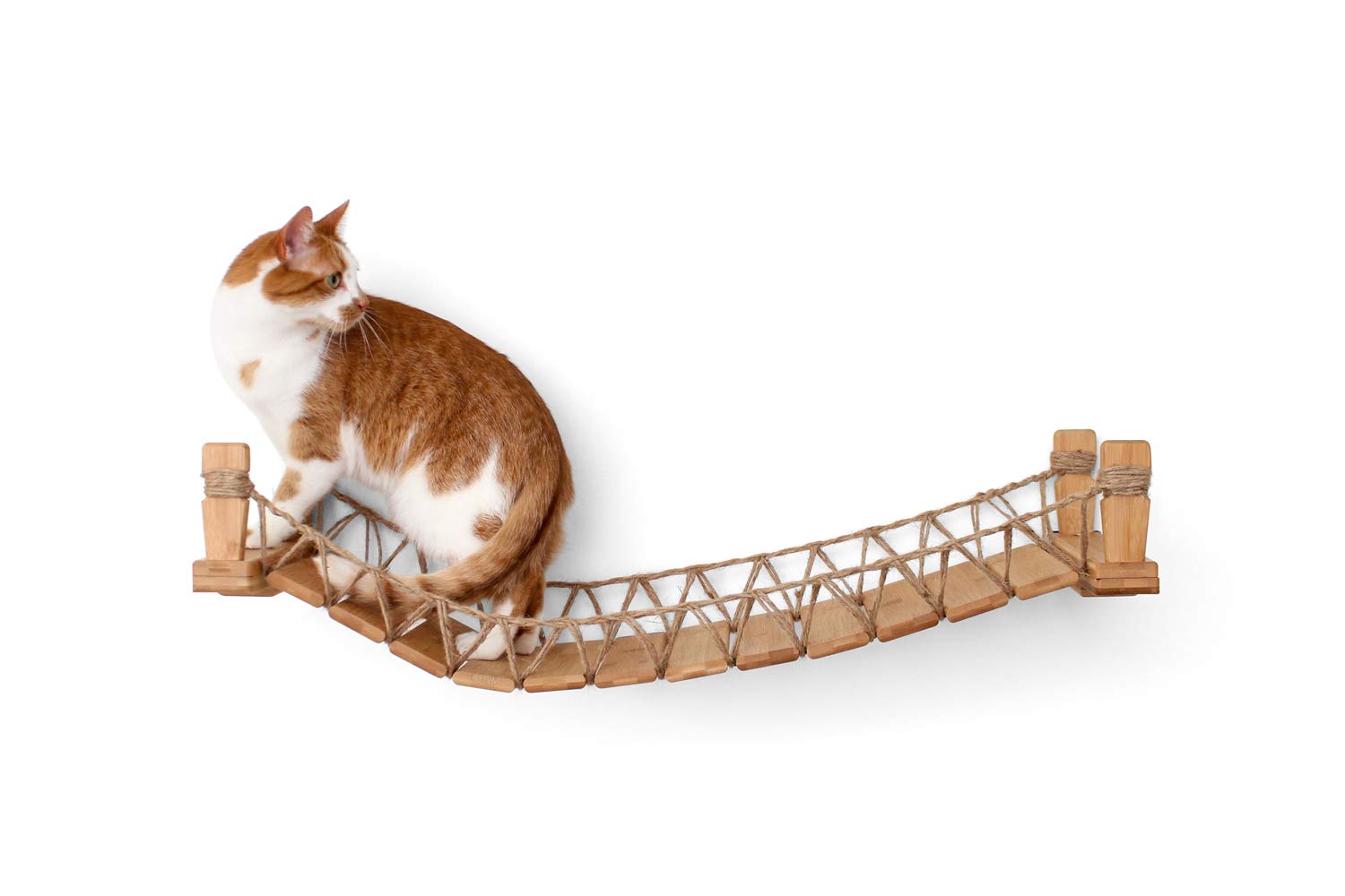 CatastrophiCreations Cat Bridge WallMounted Play and Lounge Toy Cat