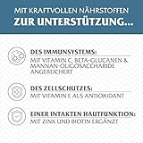 Wolf of Wilderness Adult Blue River, reich an Omega 3 Fettsäuren, enthält 61% reines Fleisch, niedriger Kohlenhydratgehalt – Lachs (2 x 12 kg)