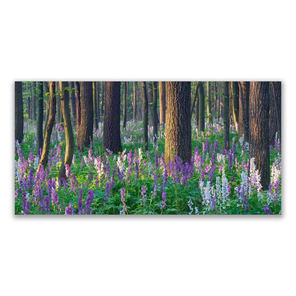 Plastique Imprimé Tulup 140x70cm pour Illuminer un Mur Sombre Motif Forêt