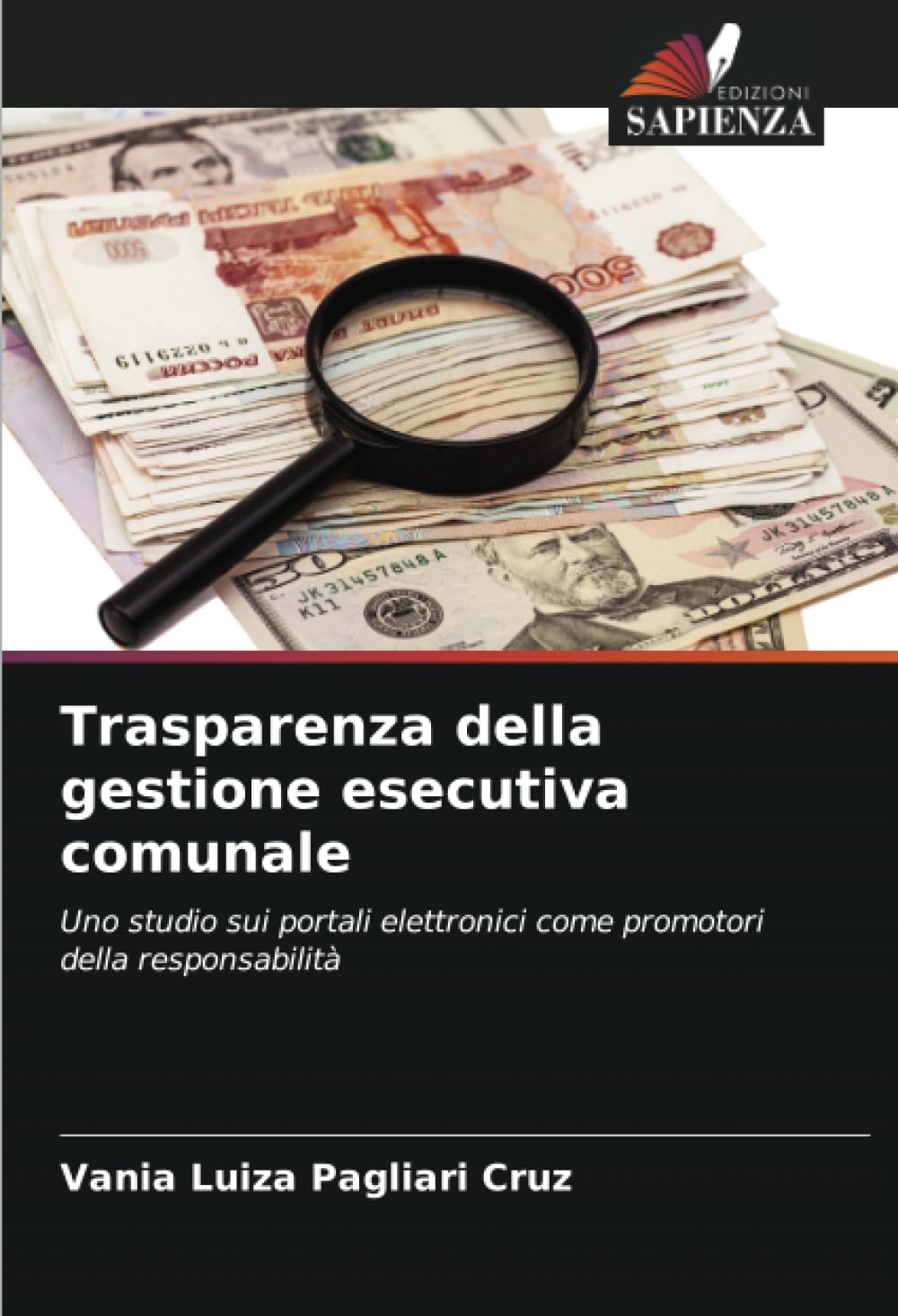 Trasparenza della gestione esecutiva comunale: Uno studio sui portali elettronici come promotori della responsabilità
