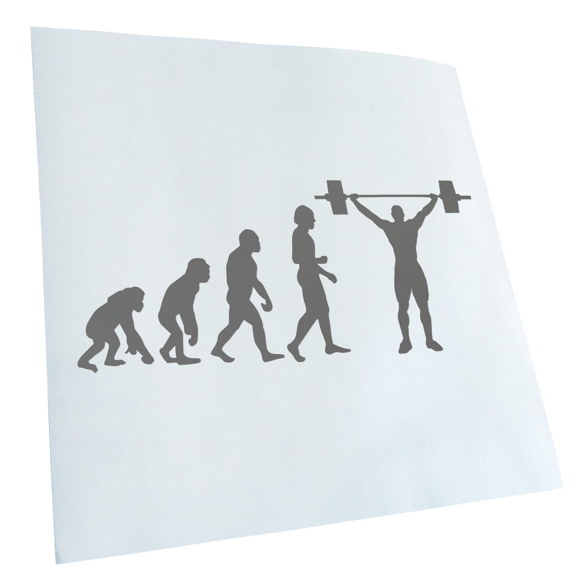 Kiwistar - Car Sticker - Grey - 60 x 26 cm Evolution Weightlifter - Rear Window Car Sticker Weatherproof for Car Truck Moped Truck - Sticker Exterior Self-Adhesive Tuning Accessories for Window