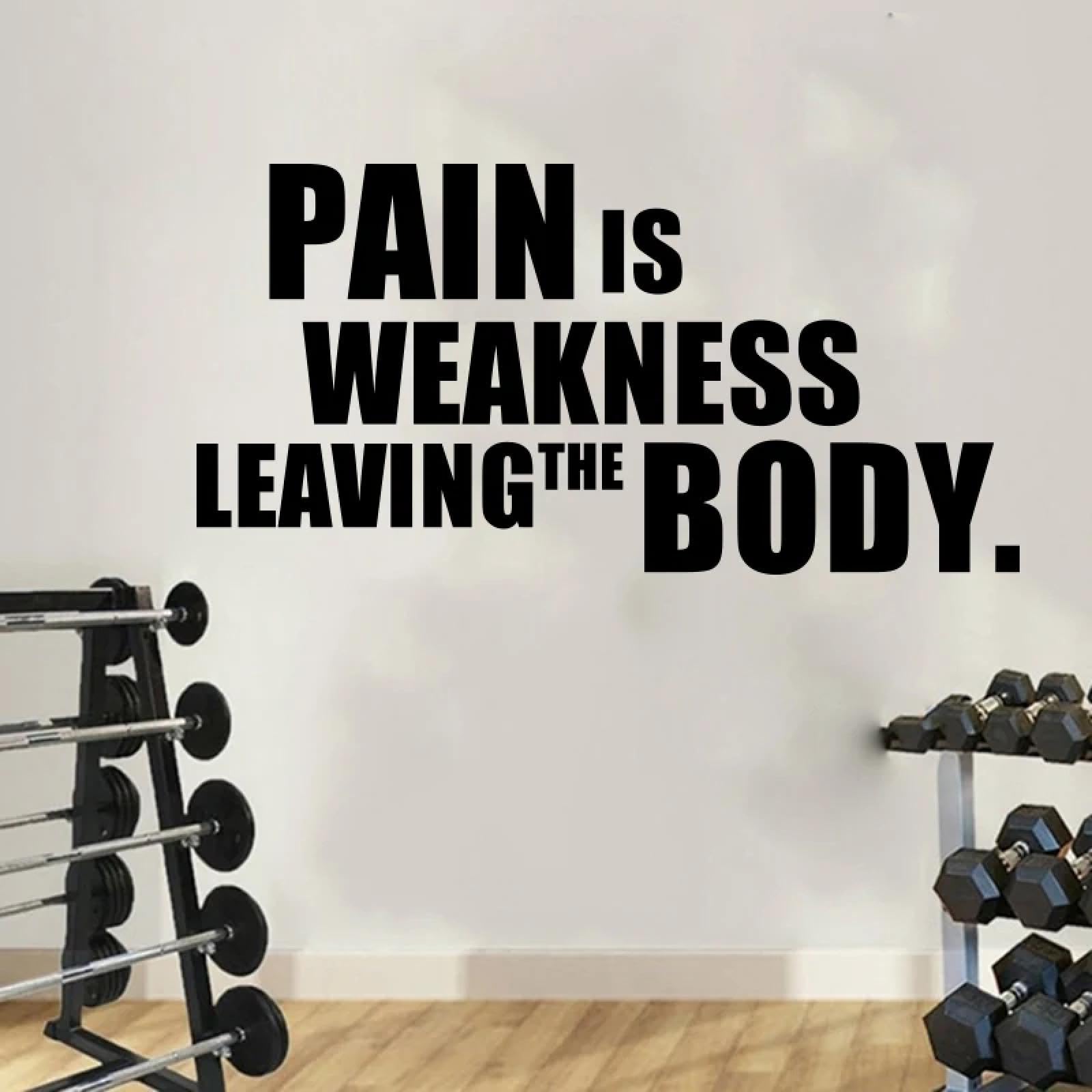 WEIMEIJIE No Pain, no gain - Inspiring Phrases for Fitness wall Stickers/Gym wall Decals
