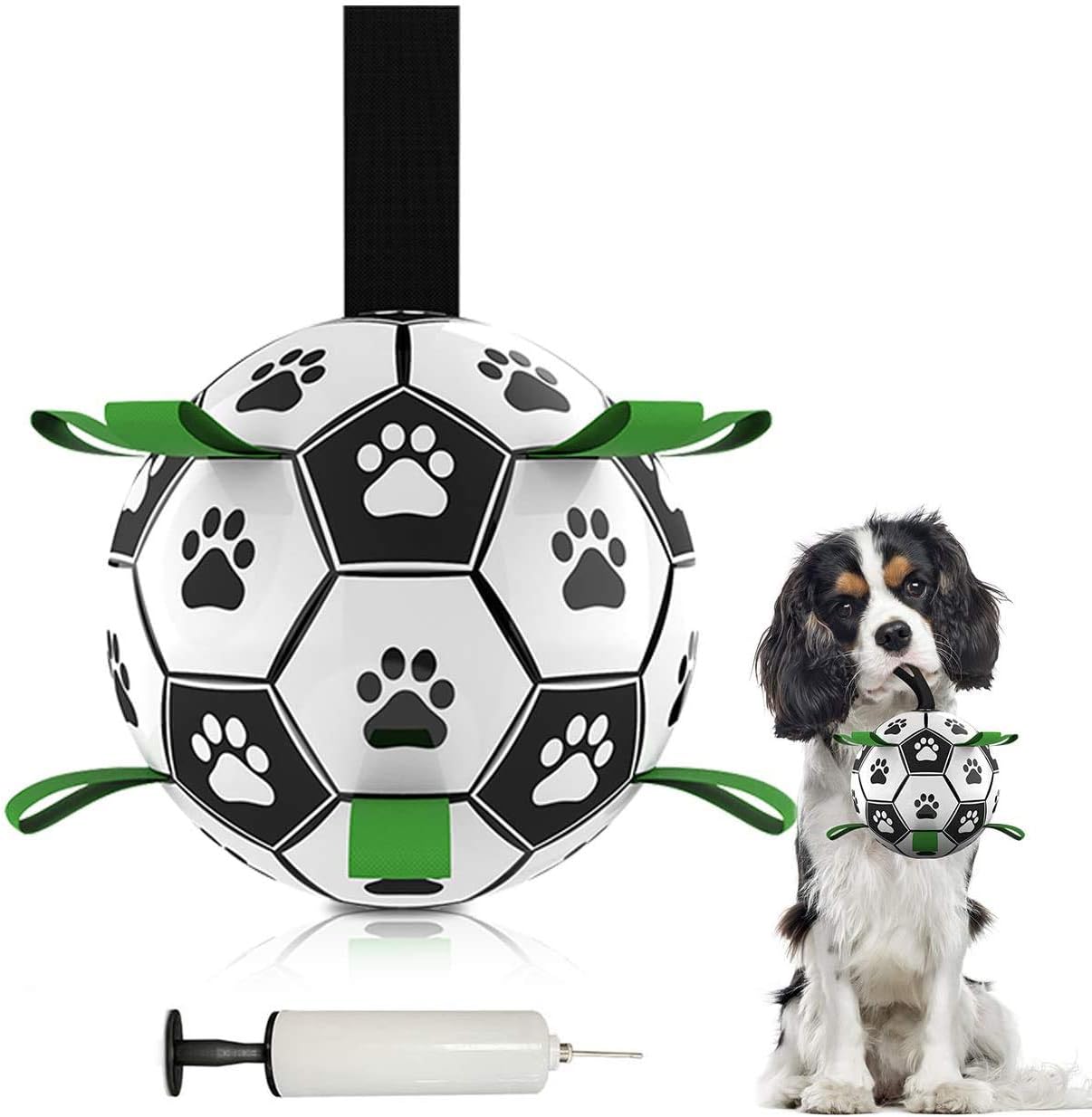 outdoor dog accessories