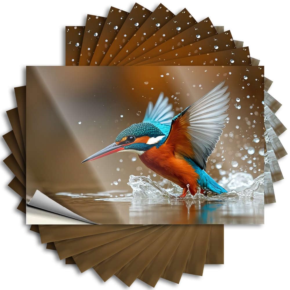 A Kingfisher Bird with Vibrant Blue and Orange Plumage Fall Tiki Bar Decor - Decal Bottle Removable Vinyl Decal(12X18CM)