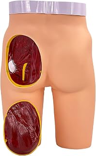 Buttock Injection Practice Model, Gluteal Anatomy & Nursing Simulator, 3 Injection Training Methods/Detailed & Realistic for Medical Students/Nurses