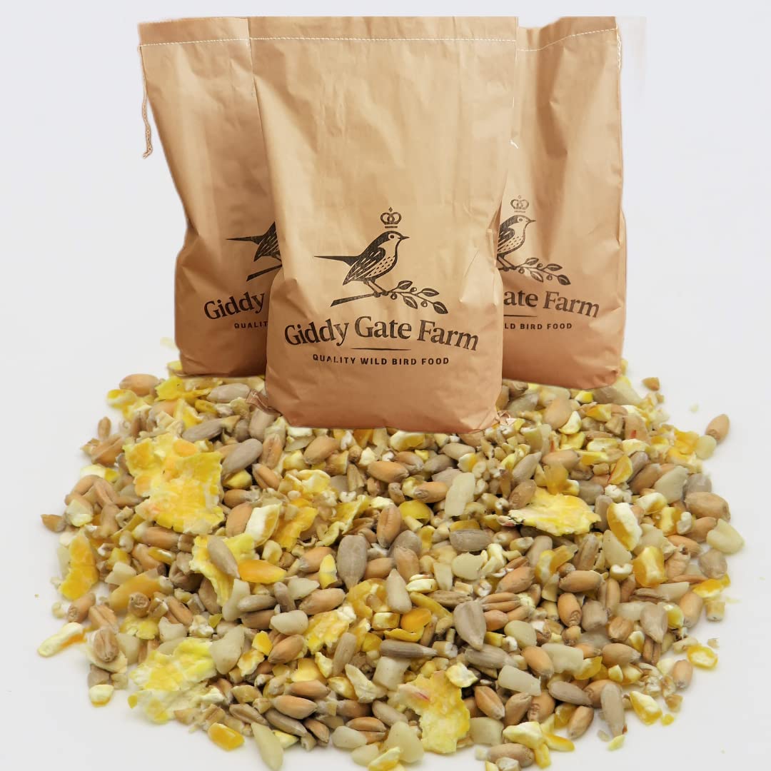 Husk Free Winter Gold Mix. Quality Wild Bird Food in Plastic FREE Bags (20Kg). With Peanut Pieces and Sunflower Hearts. Husk Free Less Mess. (Husk Free Winter Gold Mix, 20 Kg)