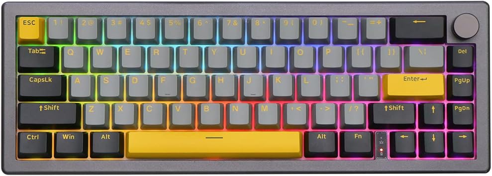 EPOMAKER EK68 65% Pakking NKRO Hot Swappable Drievoudige Modus Mechanische Gaming Toetsenbord met Knop, Zuidgerichte LED, RGB Achtergrondverlichting voor WIN/Mac (Zwart Zilver, Budgerigar Switch EPOMAKER EK68 65% Pakking NKRO Hot Swappable Drievoudige Modus Mechanische Gaming Toetsenbord met Knop, Zuidgerichte LED, RGB Achtergrondverlichting voor WIN/Mac (Zwart Zilver, Budgerigar Switch