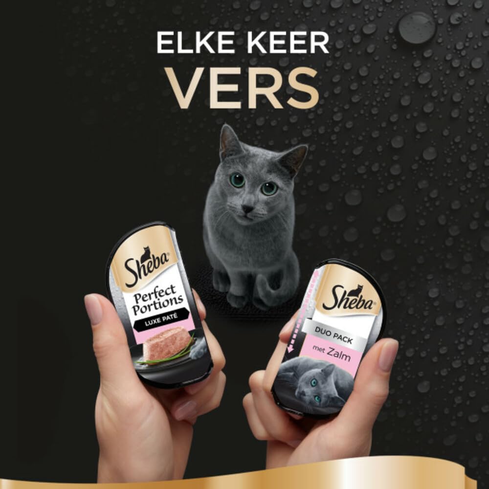 Sheba idealne porcje tacki karma dla dorosłych kotów Deluxe Terrine z łososiem 6x37,5g