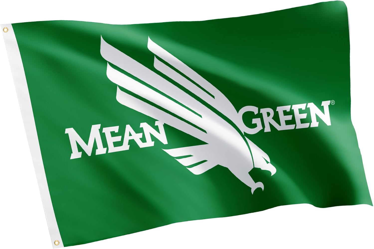 Desert Cactus University of North Texas UNT Flag - 3 x 5 Feet Mean Green Banner, Indoor/Outdoor Durable Fabric, 100% Polyester Design (Style 2)