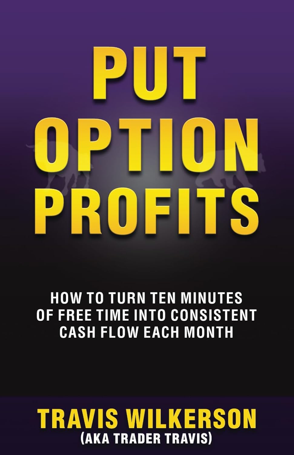 Put Option Profits: How to Turn Ten Minutes of Free Time into Consistent Cash Flow Each Month (Passive Stock Options Trading)