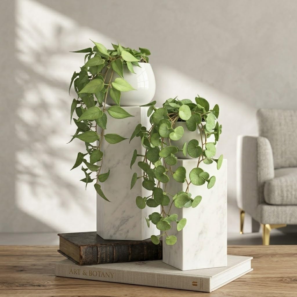 ANNIE&PANDA Artificial Pothos & Money Plant with Ceramic Vases Set - 2 Pack Fake Plants for Home Decor, Realistic Greenery in White Pots, Wall Mount or Tabletop Display (No Maintenance)