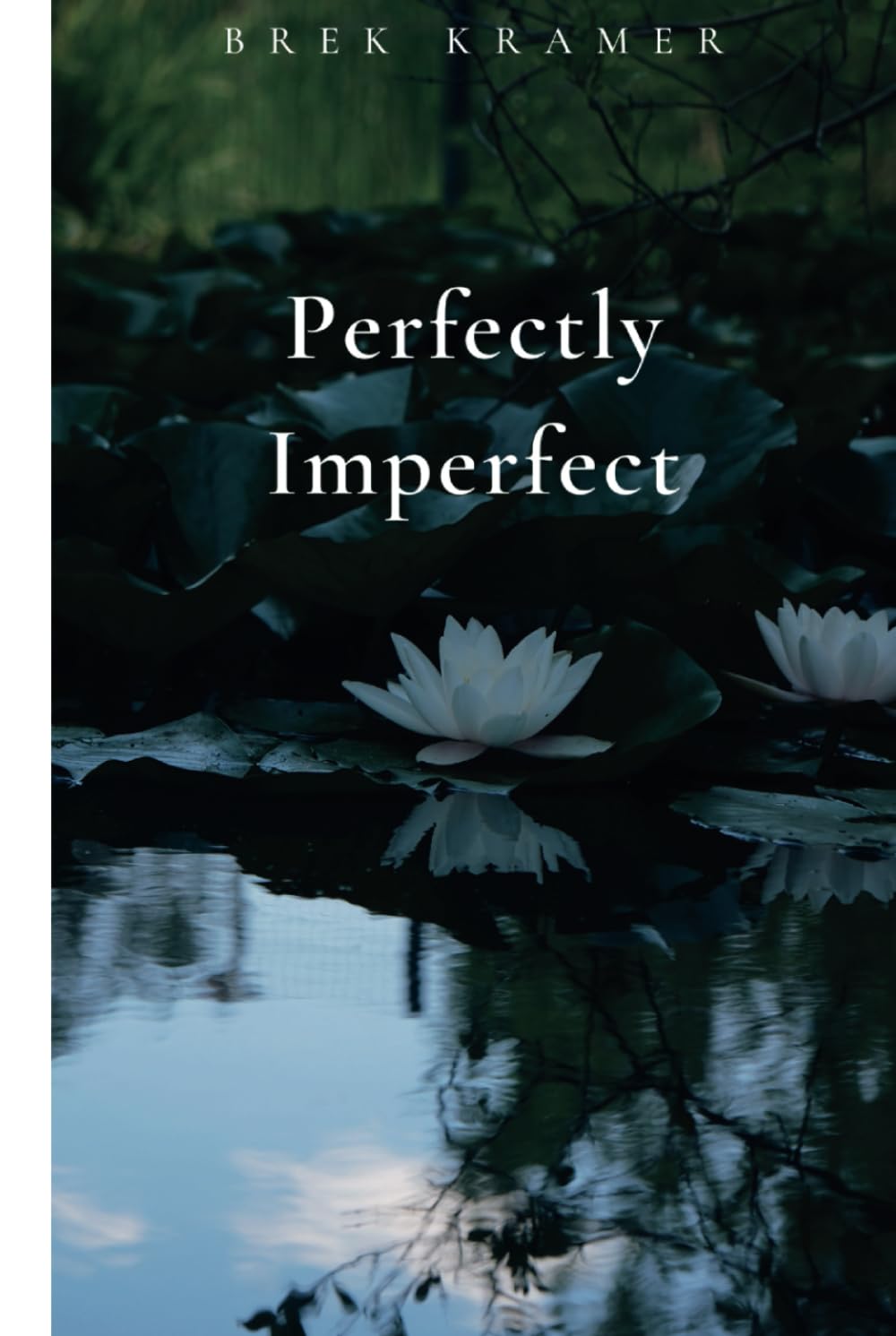 Perfectly Imperfect
