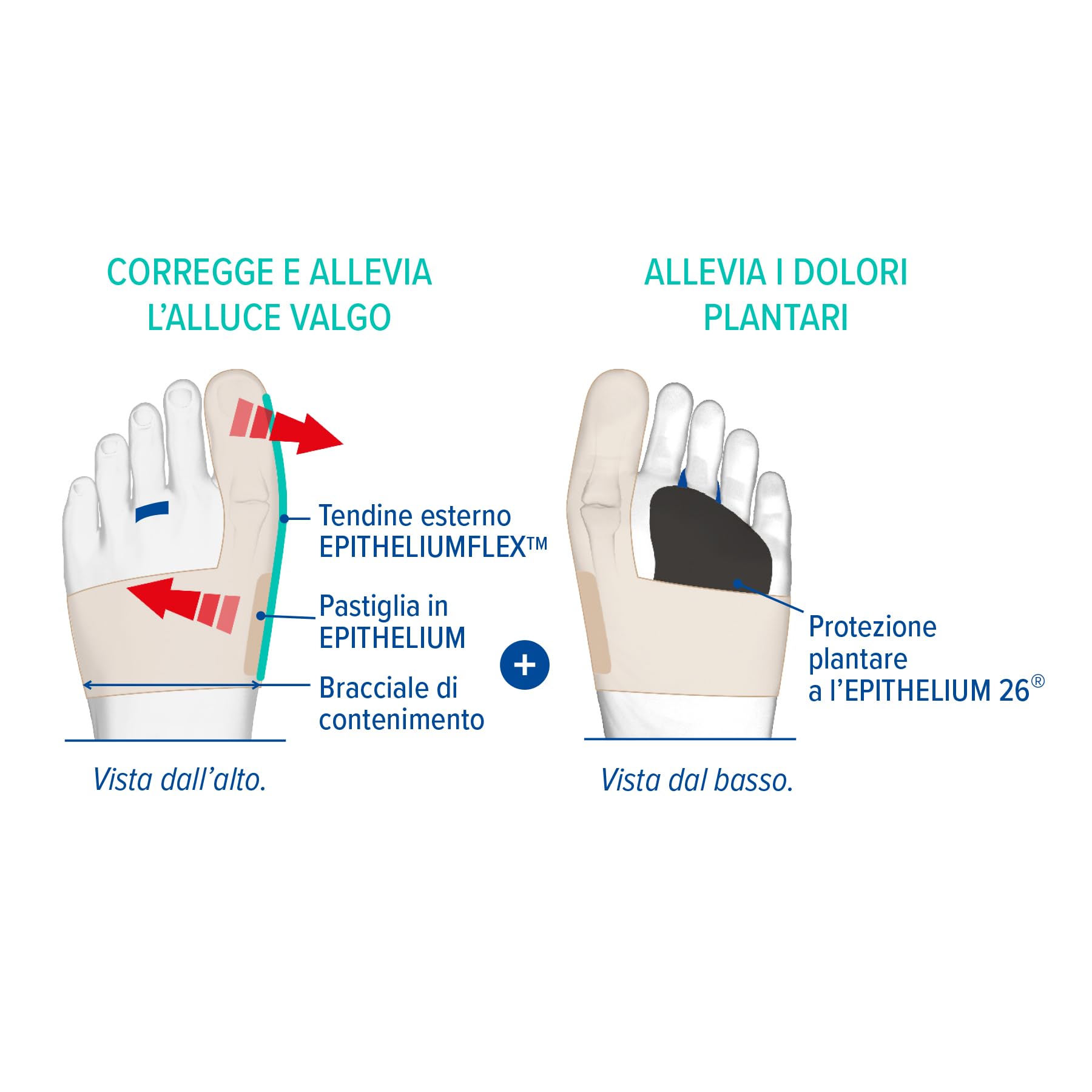 Epitact | Ortesi Correttiva Doppia Alluce Valgo & Dolore Plantare | Corregge l’Alluce Valgo e Allevia i Dolori sotto l’Avampiede durante la Marcia | Ultrasottile, Confortevole (M, Sinistra)