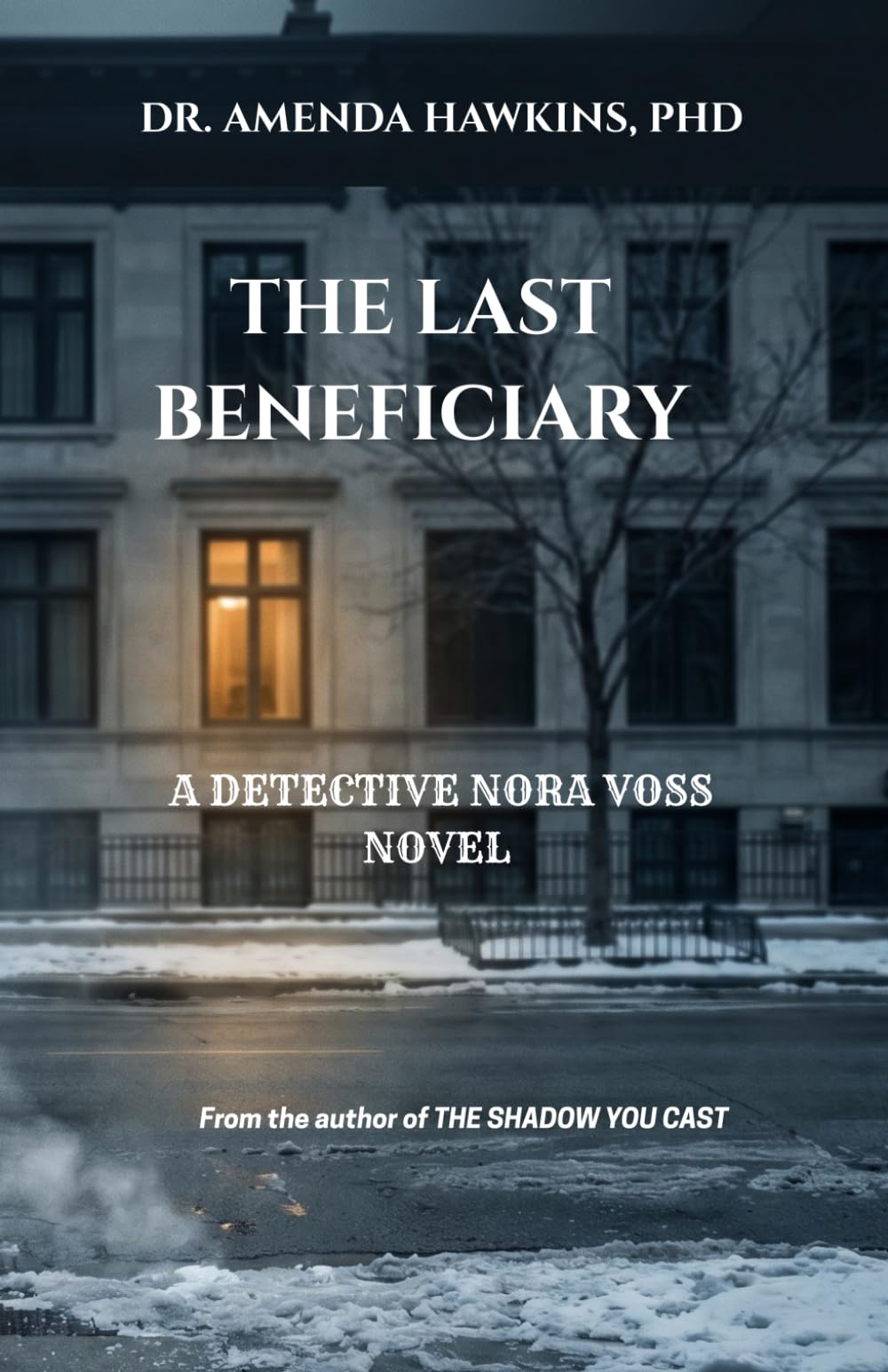 The Last Beneficiary: A Detective Nora Voss Novel (THE DARK CURRENT SERIES)