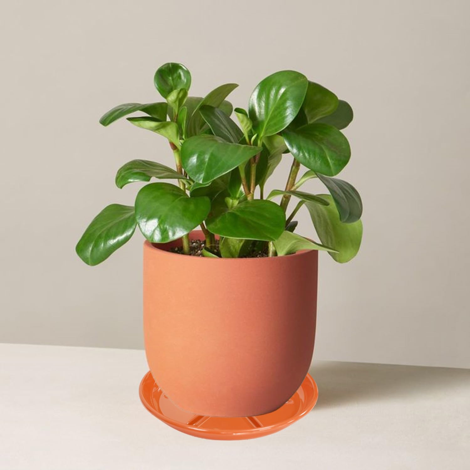 Cheardia 30 Pack Expandable Envelopes 13 X 9.4 Inch, Large Heavy-Duty Hook-and-Loop Fastener Mailing Envelopes 200gsm Tear-Resistant File Storage For Office Documents, Photos, Organizing