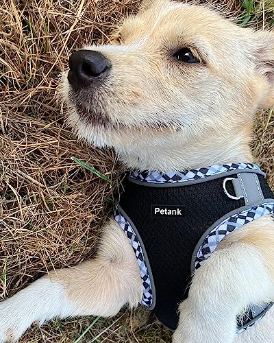 Image of Petank Dog Harness for Small Medium Dogs No Pull, Puppy Harness and Leash Set, Step in Dog Harness for Walking, Running, Training(Black, S)