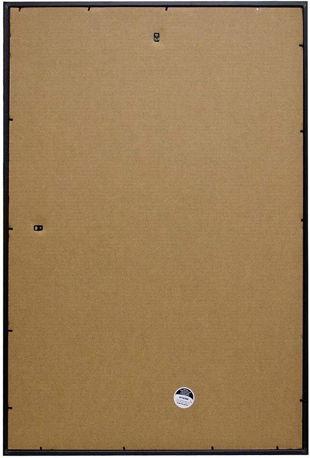 Frame USA 27x39 Deluxe Polystyrene Plastic Poster Frames (Black), Made in America