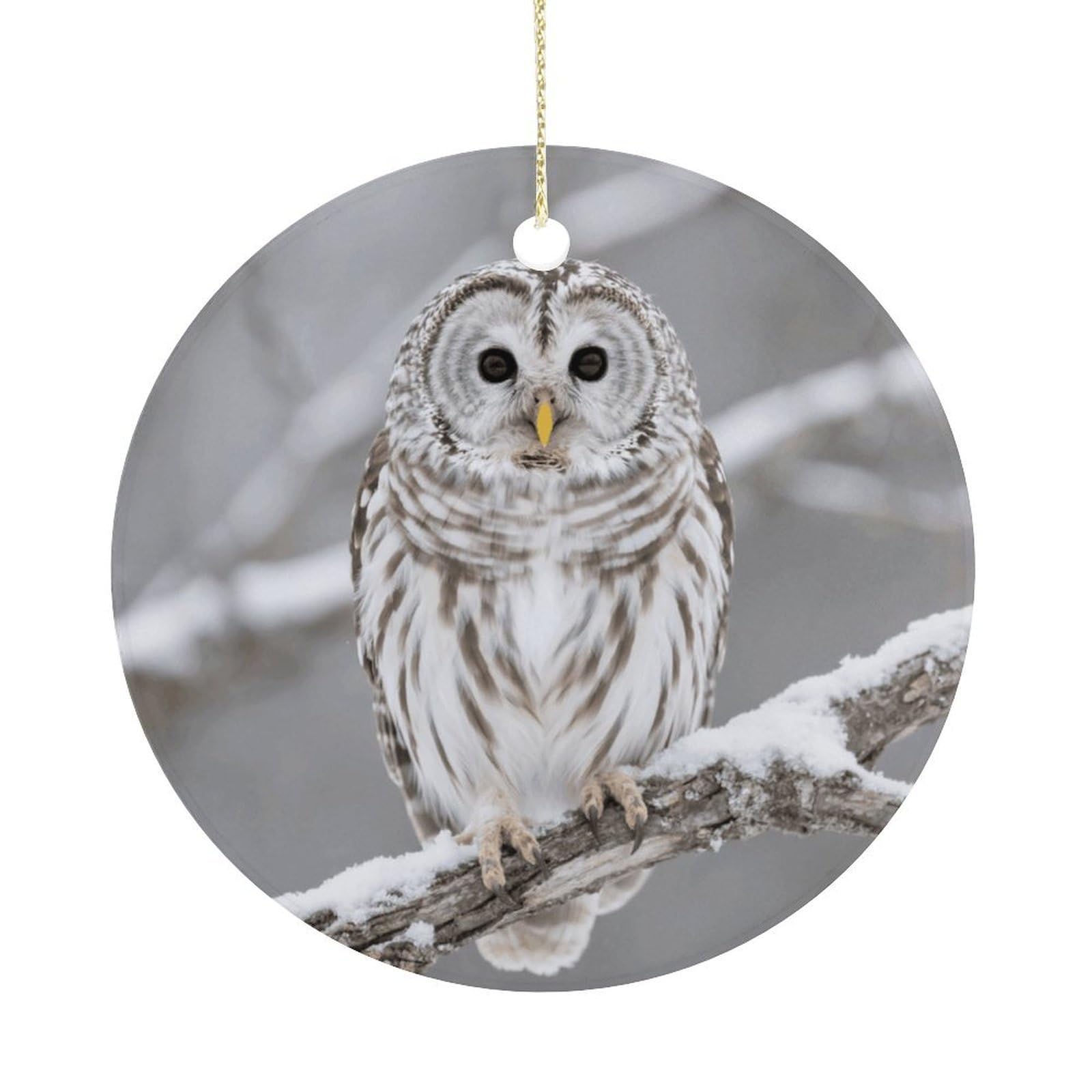 Personalized Christmas Ornaments 2025 Ceramic Hanging Curious Barred Owl Closeup Ornaments with Gold String Double-Sided Vintage Holiday Decorations for Tree Mantel Tabletop Xmas Party Favors