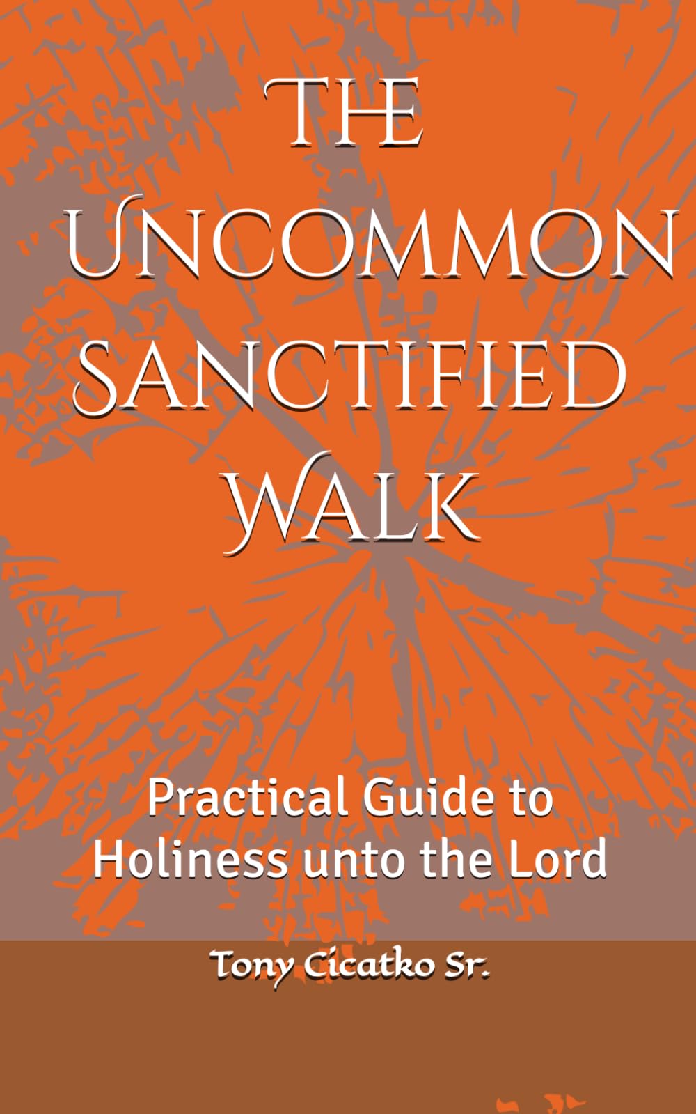 The Uncommon Sanctified Walk: Practical guide to Holiness unto the Lord (DEEP DIVE INTO THE BIBLE)