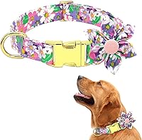 Vista 8 de Collar de perro femenino para perros pequeños/medianos/grandes, suave y cómodo ajustable con hebilla de seguridad, collar de perro para perros