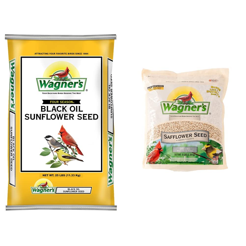 10 Best Black Oil Sunflower Bird Seed for Wild Birds Hummingbirds Plus