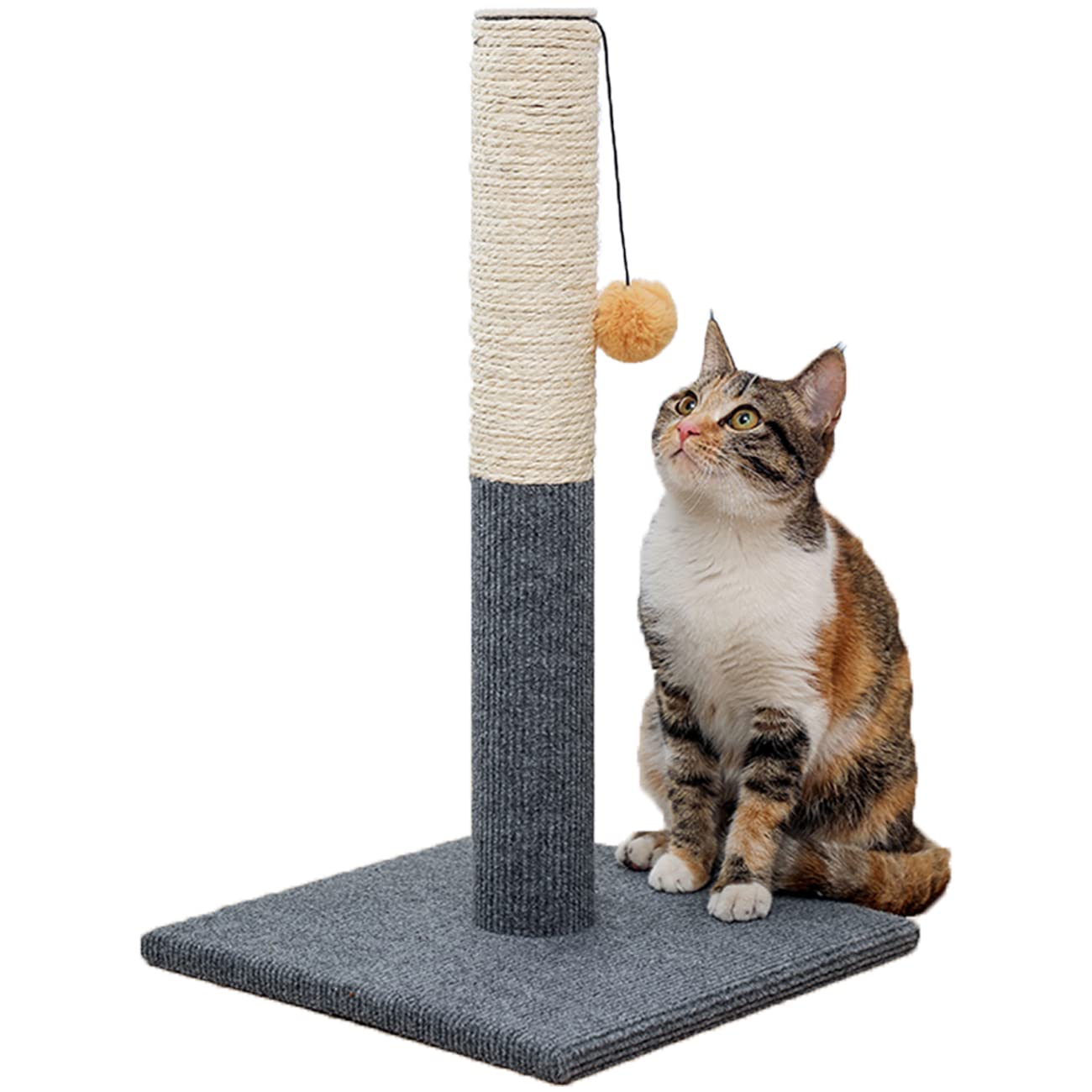 Cat Scratching Post for Indoor Cats,Cat Scratcher with Hanging Ball,Durable Cat Scratcher Pole with Sisal Rope,Cat Carpet Scratching Post for Small Cats and Kittens (Grey+ Beige)