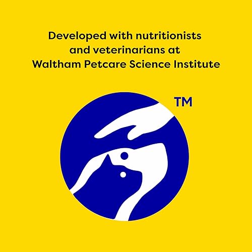 Miniatura 9 de Temptations MixUps & ShakeUps bocadillos crujientes y blandos para gatos, 5-6.3onzas.