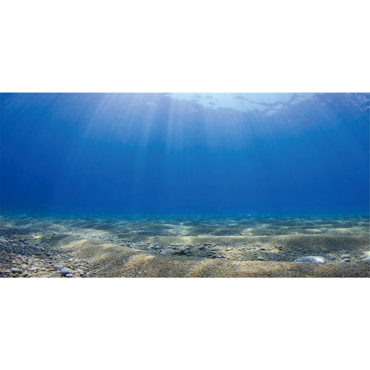 MIRRORANG 180x61cm Underwater Aquarium Background Sunshine Blue Ocean Sand Beach Terrarium Background Undersea Fish Tank Background