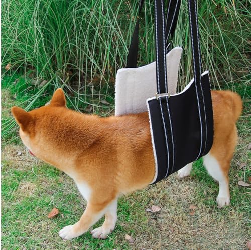 Ganzkörper Tragehilfe, Treppenhilfe, Dog Carrier Hundetrage, Tragegurt, Verstellbarer Hunde Tragehilfe, Hebegeschirr für Hunde mit Bewegungsproblemen