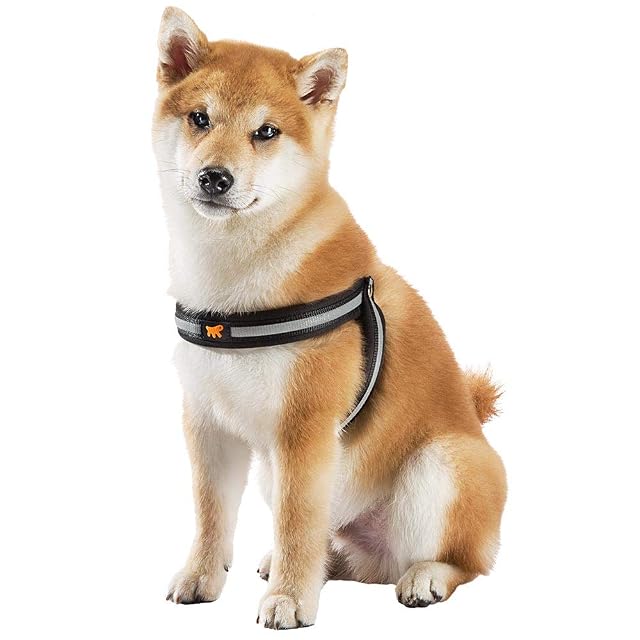 Foto 2 de 6 de Ferplast Arnés Perro Mediano AGILA Reflex 3 Arnés para Perros de Suave Acolchado, Sistema de Cierre con Cordón