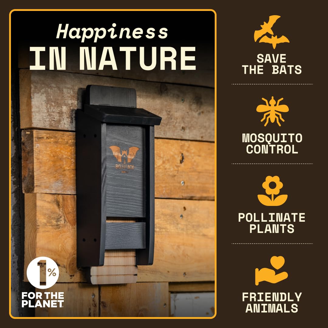 Wildyard Bat House For Outdoors - casa nera per pipistrelli all'aperto - Pulisci il tuo cortile dalle zanzare - Bat Box senza vernice all'interno - Una camera da letto per pipistrelli