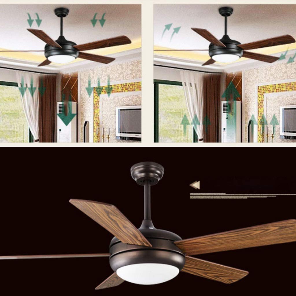 Ventilatore A Soffitto Con Luci E Telecomando - Silenzioso, 5 Pale, Moderno (Nero, Basso Profilo)
