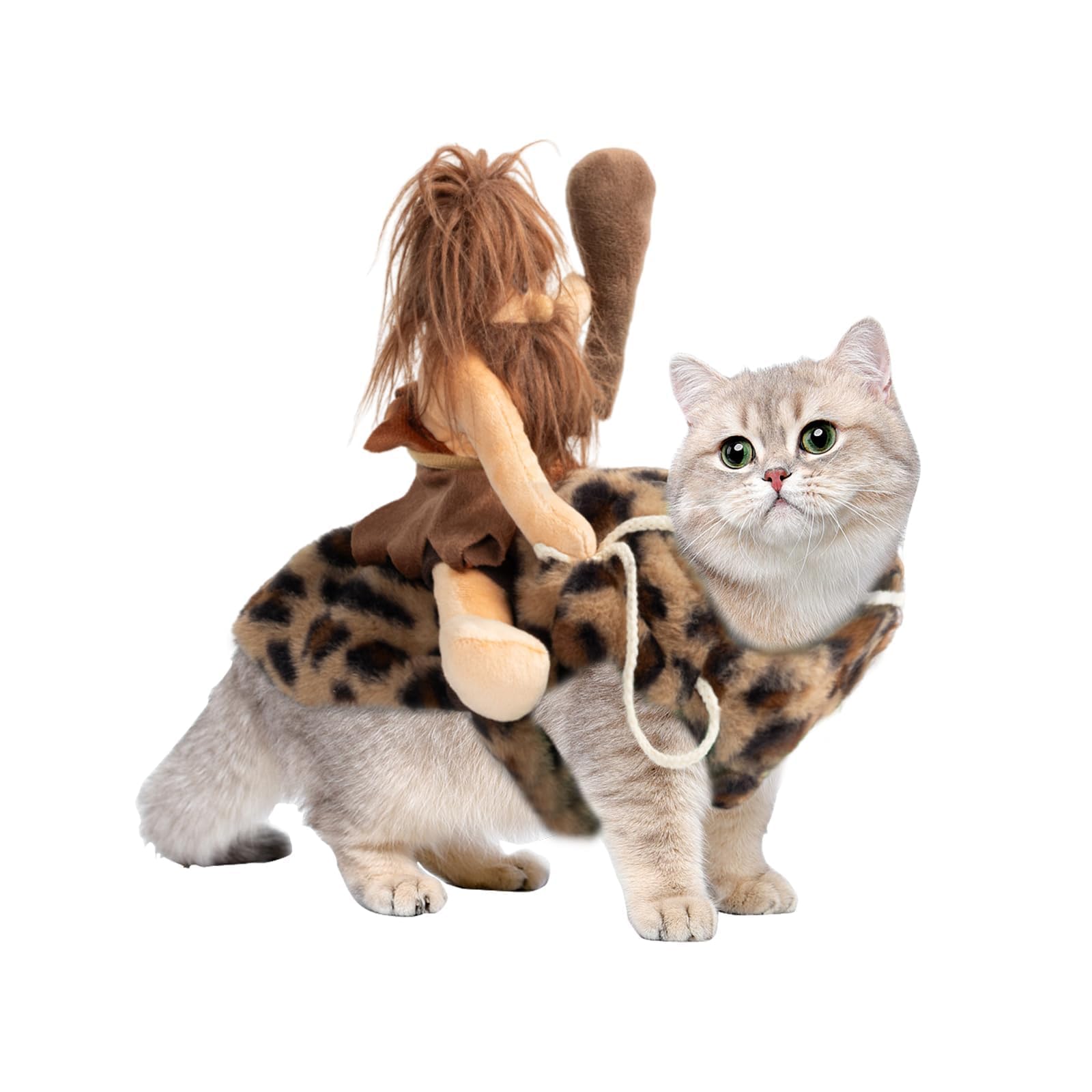 Costume d'Halloween amusant résolvant le manque d'idées de déguisement pour petit chat