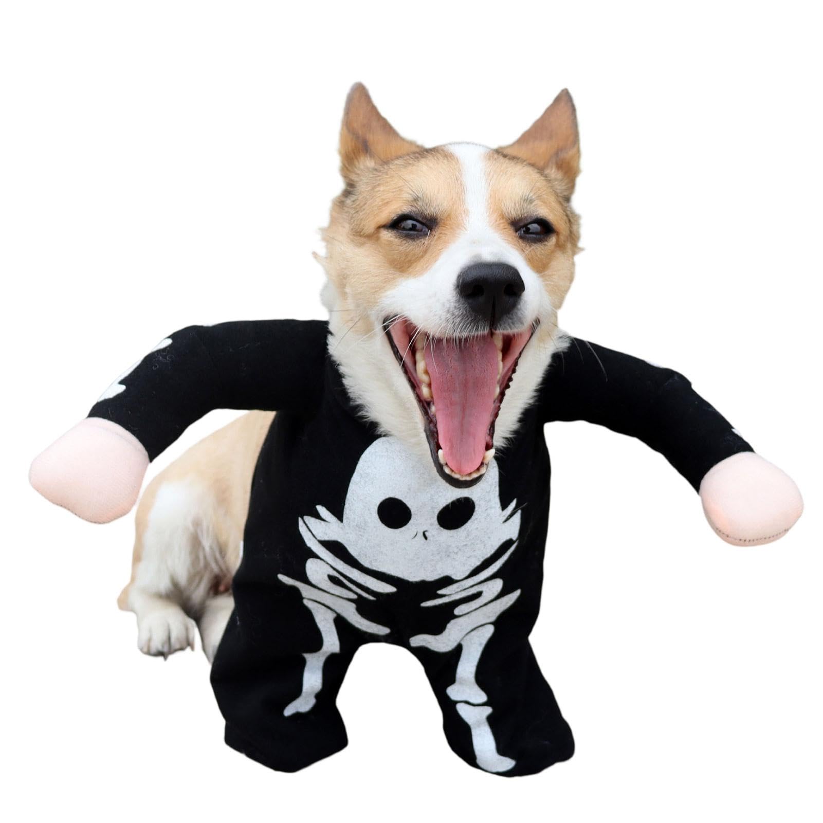 Dog Skeleton Costume, Dogs Halloween Costumes, Dog Outfit Dog Clothes, Dog Halloween Costumes For Large Dogs Medium Dogs Small Dogs, Clothing & Accessories For Dogs, Halloween Dog Costume