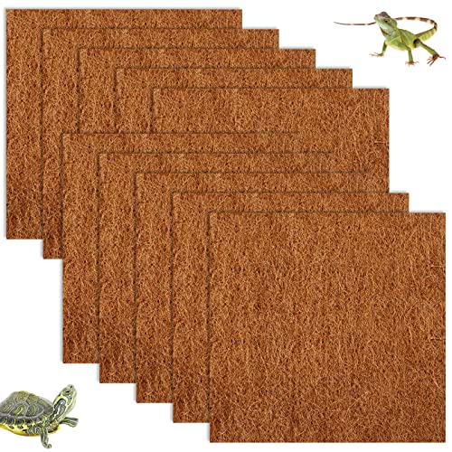 The Best Bearded Dragon Substrate In 2022