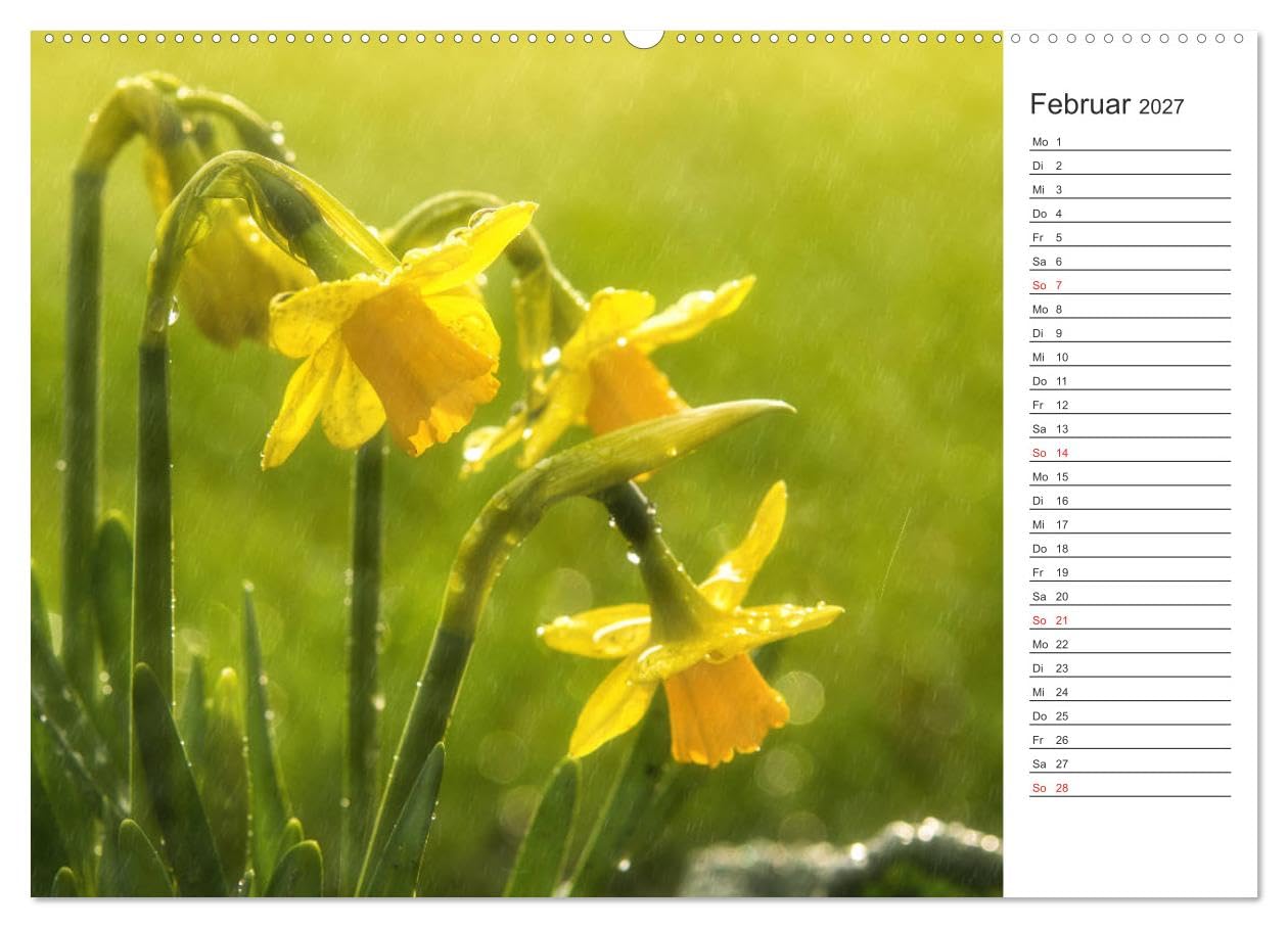 CALVENDO - Blumenfreude Terminkalender (Wandkalender 2027 DIN A2 quer), Monatskalender: Mit wunderschönen bunten Blumen und Blütenbilder durch das Jahr