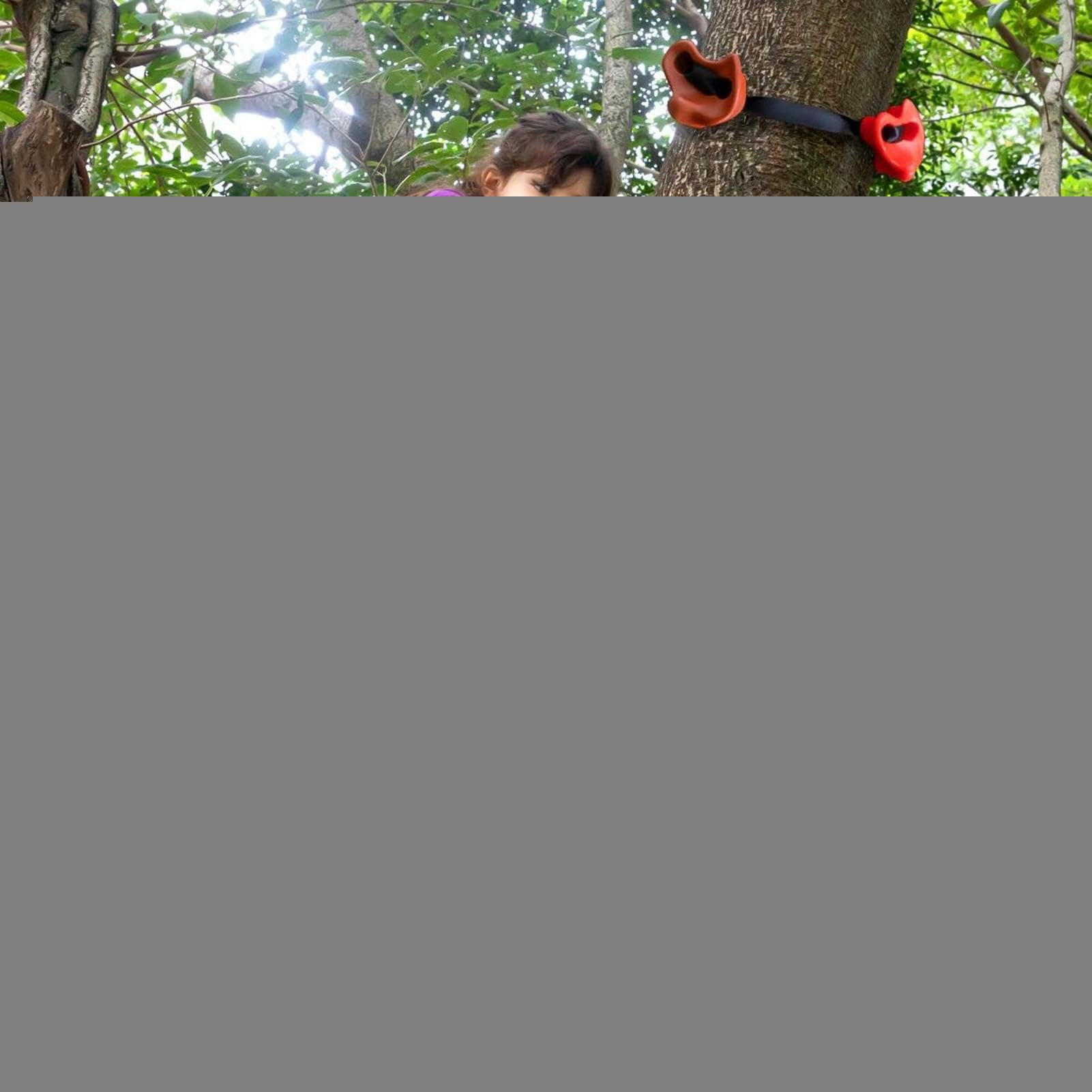 Escalade D'Arbre Pour Échelle Et Matériel De , Entraînement Ludique,