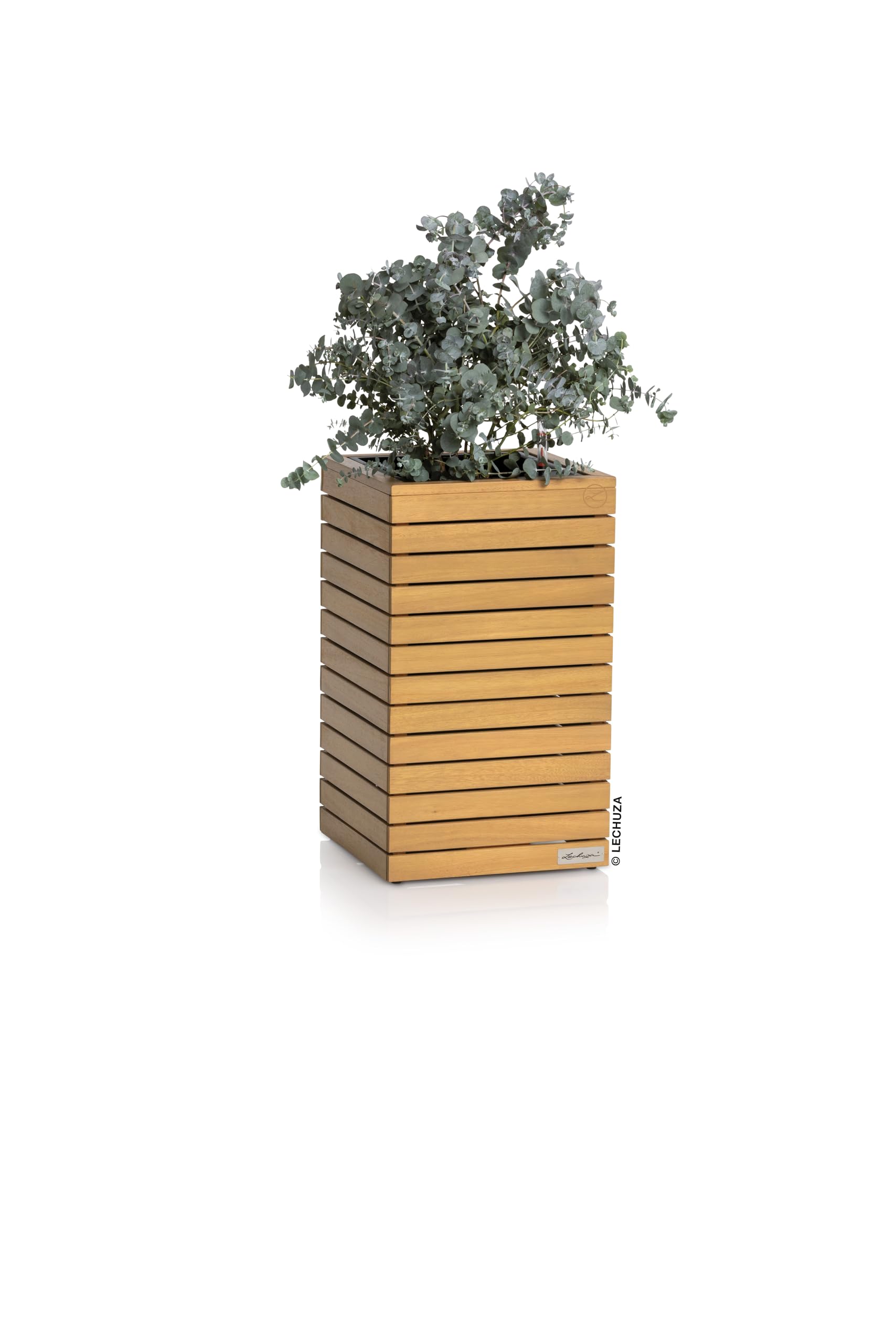 Lechuza - Vaso per piante Palo Natural Wood 35 alto, in legno di eucalipto, con sistema di irrigazione, indicatore del livello dell'acqua e inserto per piante, superficie in vero legno, 34,5 x 34,5 x
