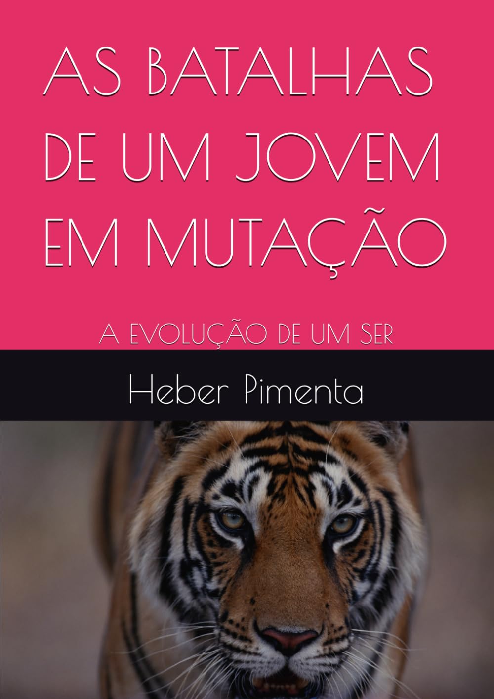 AS BATALHAS DE UM JOVEM EM MUTAÇÃO: A EVOLUÇÃO DE UM SER