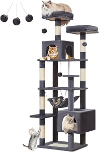 Pet Supplies