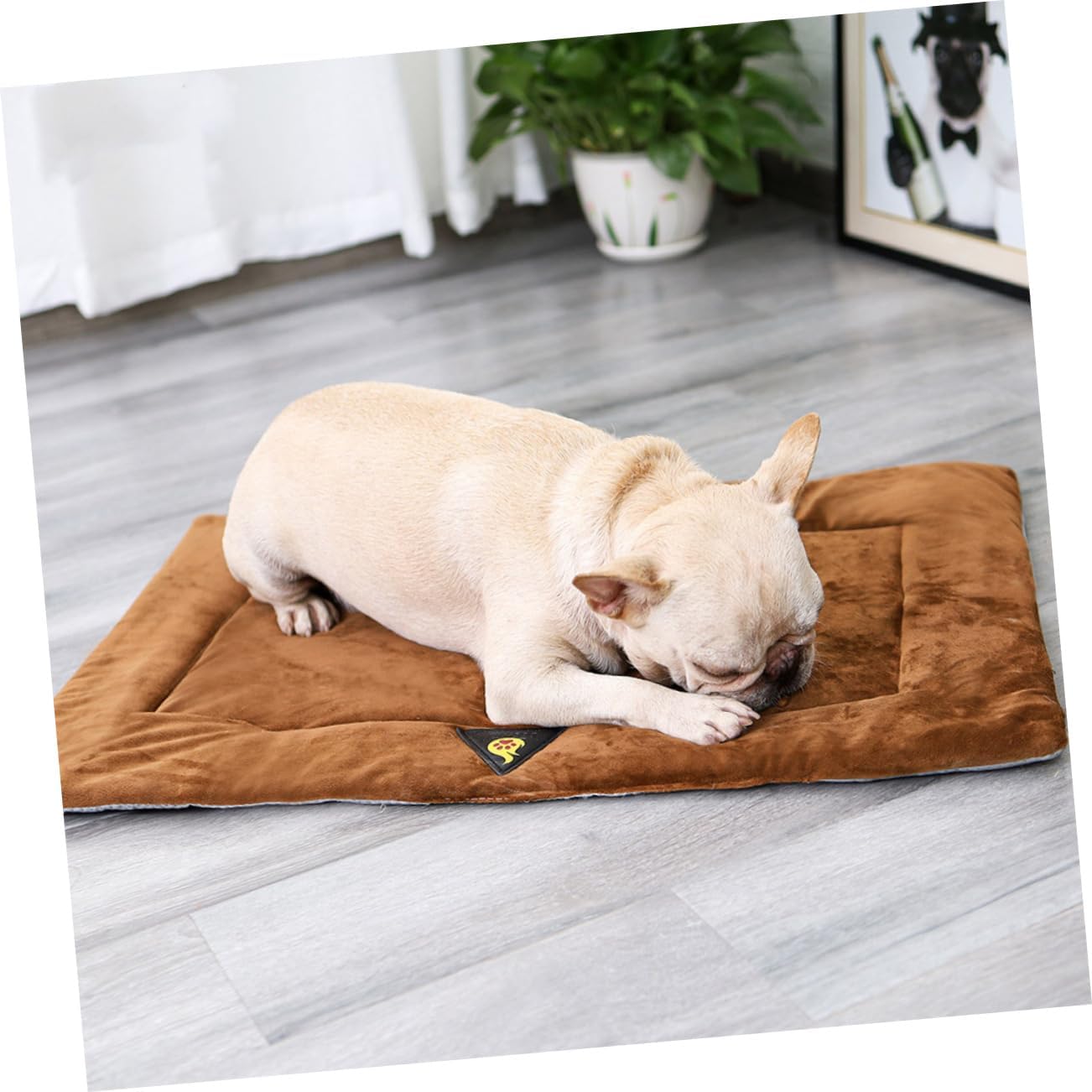 review Milisten Pet Mat Warm Dog Pad Puppy Heat Pad Warming Mat Pet Cushion Heated Dog Pad Seating Cushion Cats Bed Dog Self Warming Pad Heated Mat Pet Supplies Bed Mat Flannelette Pet Bed Heating