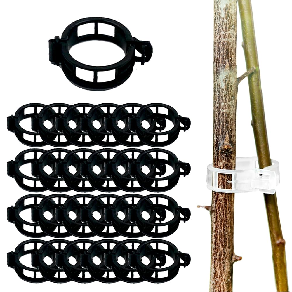 Plant Supports for Outdoor Plants, 2025 New Plant Support, Plant Clips for Climbing Plants, Twine Vine Trellis Cage, Vegetable Garden Plant Support Clips Grafting Tools (100, Black)
