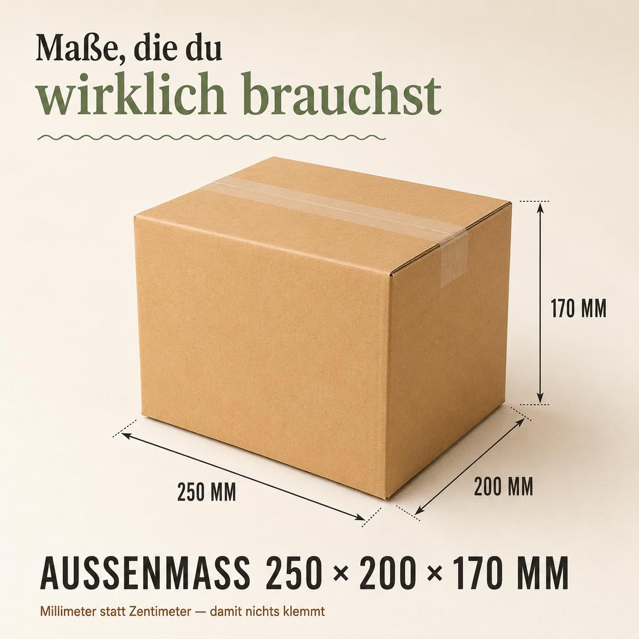 GiDeli Versandkarton Klein Doppelwellig 250x200x170 mm - Faltkarton 60er Set - 5-lagige Wellpappe, BC-Welle - Robuste Bauart, glatte Oberfläche Für Warenversand und Lagerung - Flachliegend geliefert