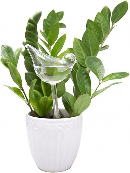 Amazon Co Jp Rurumi 小鳥 かわいい プランター 給水器 2個 セット ガラス 製 水やり 鉢植え 植木鉢 ガーデニング 鉢花 観葉植物 Diy 工具 ガーデン