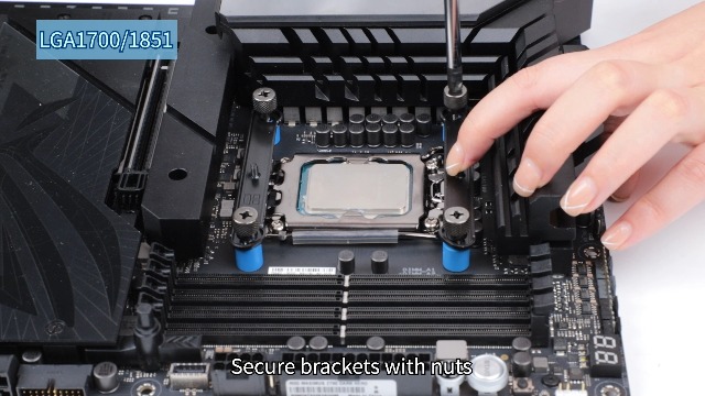 61OmBPXwJqL.jpg