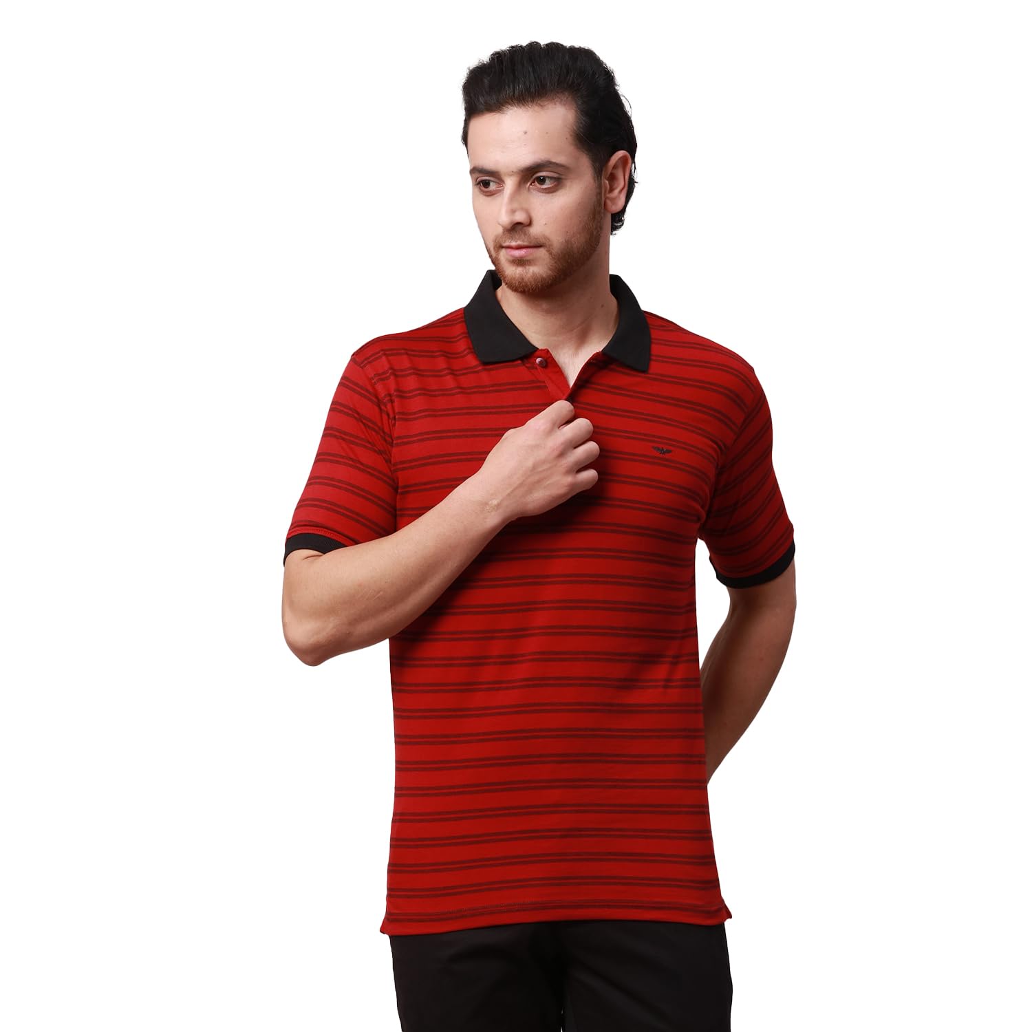 park avenue Men's Cotton Polyester Blend Stripe Pattern Slim Fit Rib Collar Polo Neck Half Sleeve Casual T-Shirt-picture-30