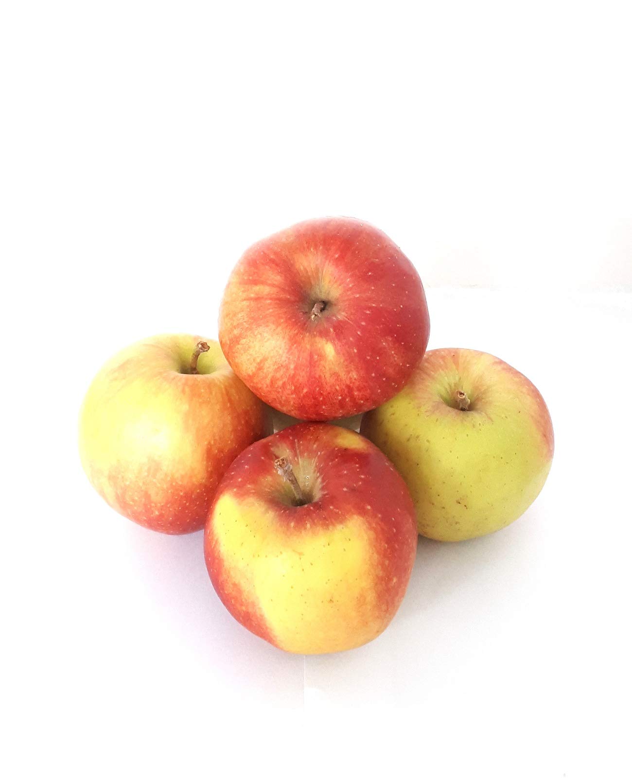 Äpfel Jonagold aus Deutschland/Bodensee süß-säuerlicher Apfel Speiseapfel 1-10 KG (2)