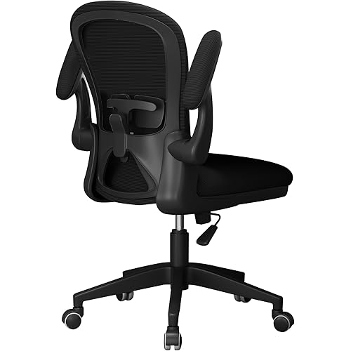 Apusen Ergonomic Office Chairs with Adjustable Lumbar Support,Mesh Desk Chair with Adjustable Arms and Wheels,Computer Desk Chair for Home Office Essentials（No Headrests,Black）