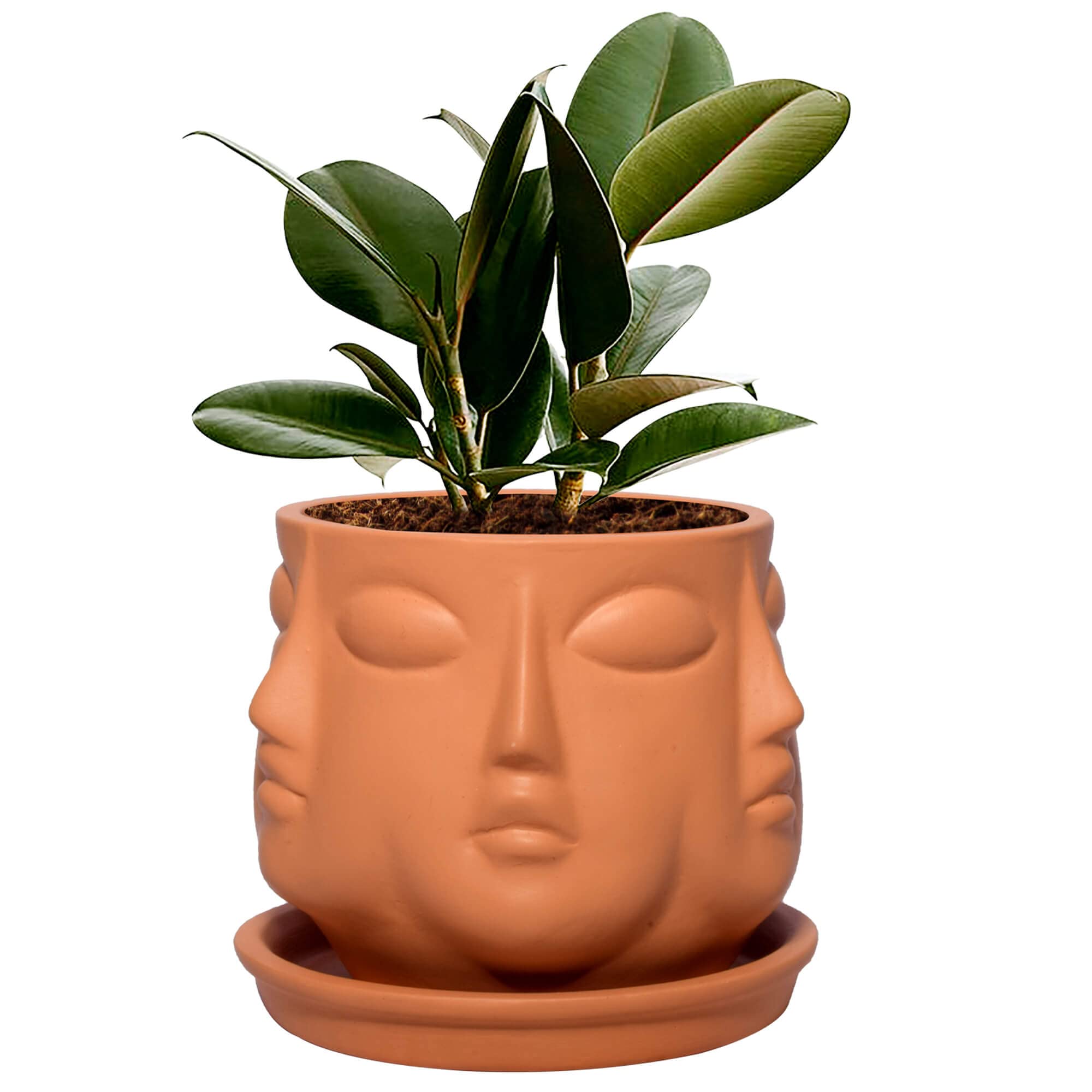 Lasaki Vivan Ceramic Pot with Saucer Plate Tray for Indoor Plants Living Room Home Décor (Color: Ginger, Plate: Round 4 inch) (B09X5DQXMQ) Amazon Price History, Amazon Price Tracker